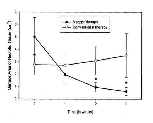 Chart of necrotic tissue area over time, maggot therapy vs conventional therapy