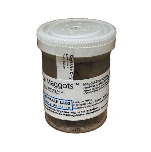 Vial of Medicinal Maggots
