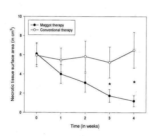 Chart of necrotic tissue surface area by week, maggot therapy vs conventional therapy
